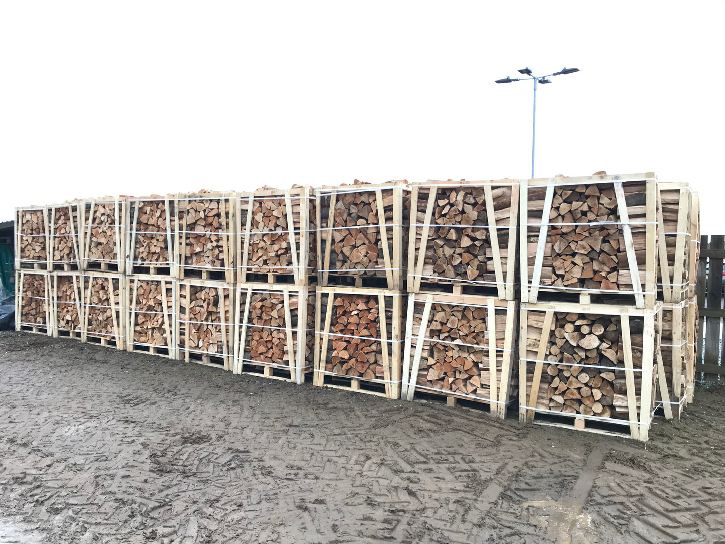 Kiln dried Hardwood birch logs