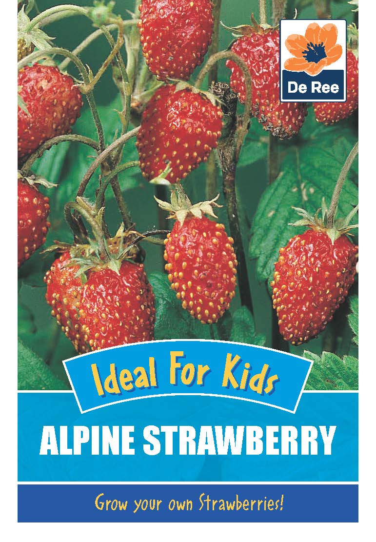 Kids - Alpine Strawberry - Threaplands