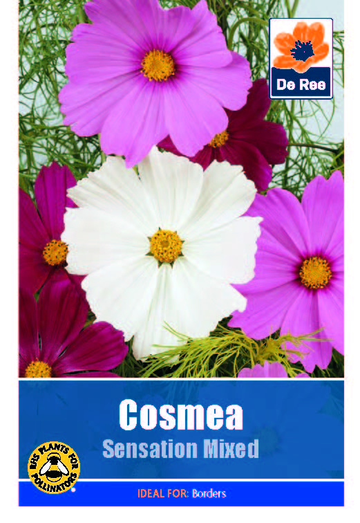 Cosmea Sensation Mixed - Threaplands