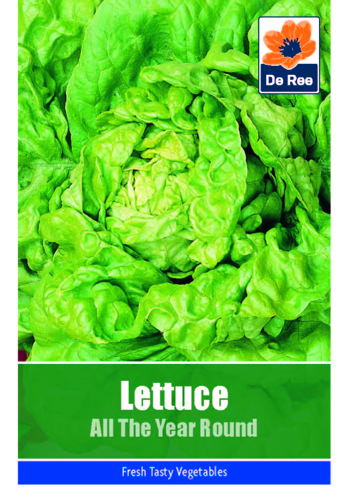 Lettuce All Year Round - Threaplands