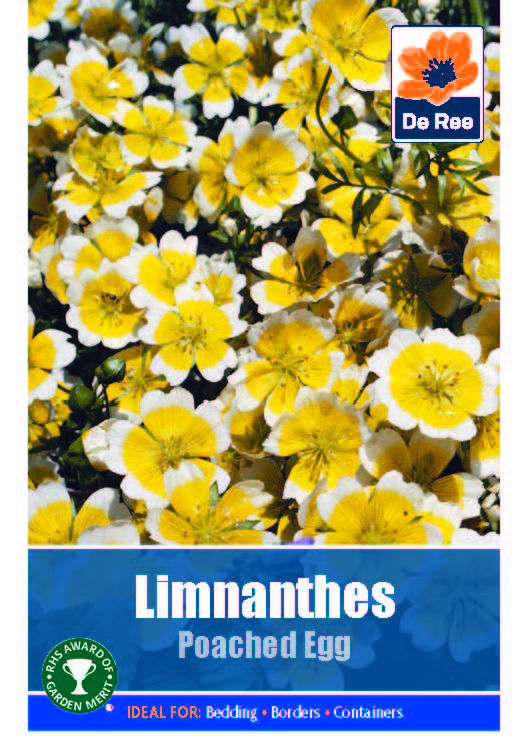 Limnanthes 'Poached Egg' - Threaplands