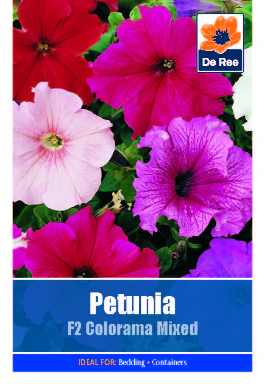 Petunia F2 Colorama Mixed - Threaplands