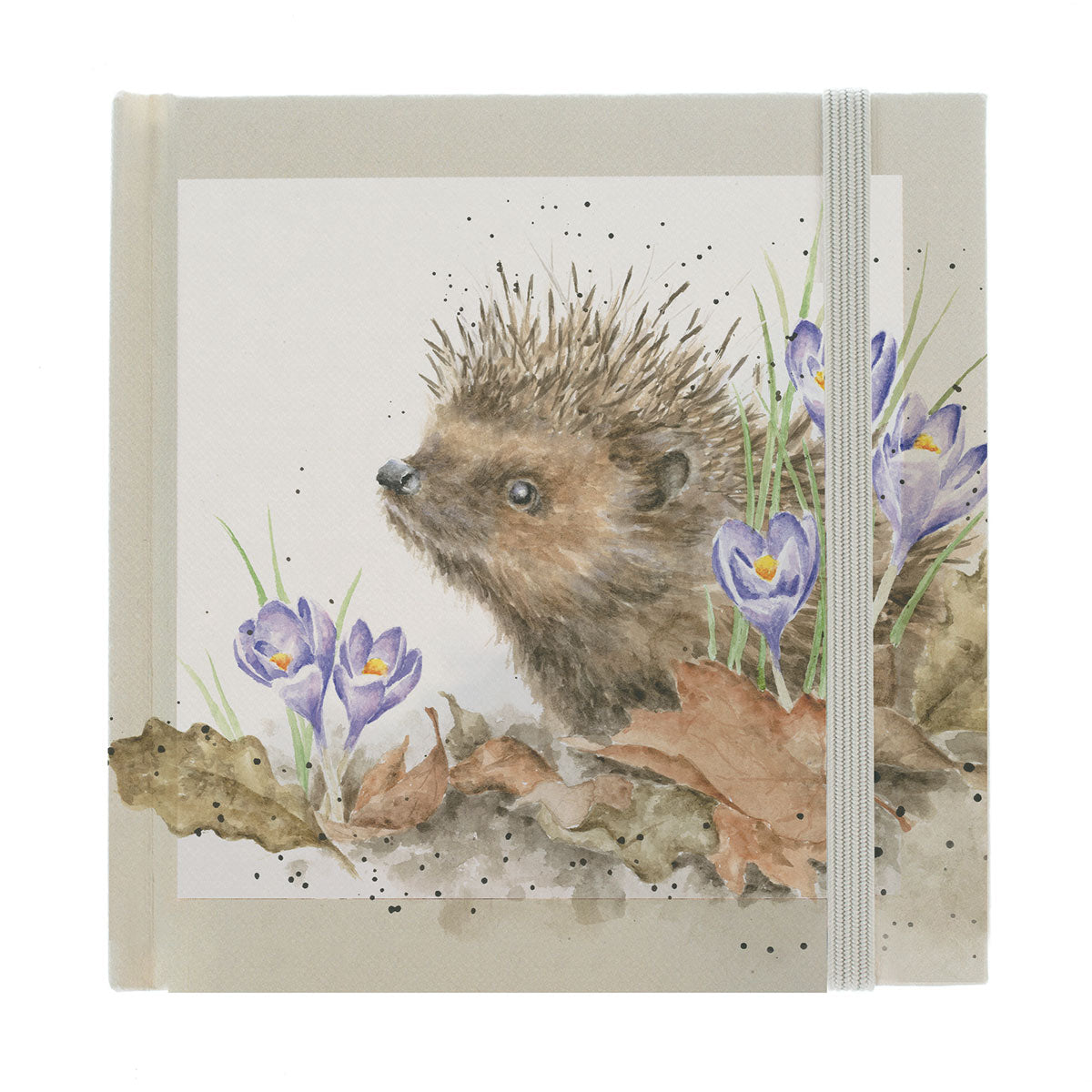 Wrendale Hedgehog Password Book - New Beginnings
