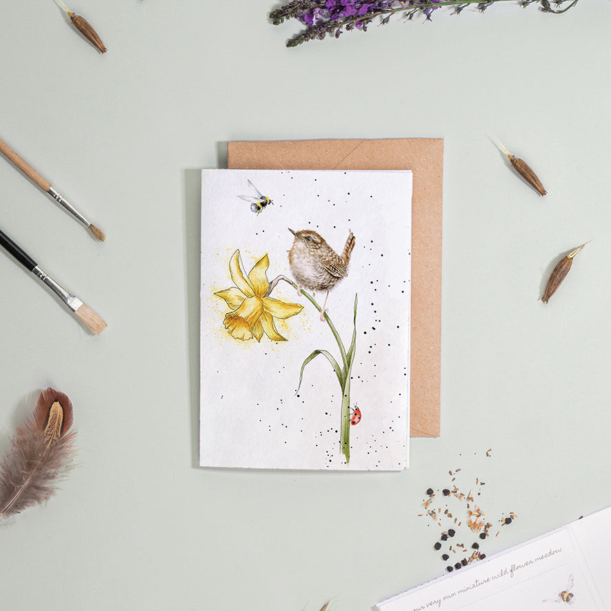 Wrendale Wren Seed Card - The Birds & The Bees
