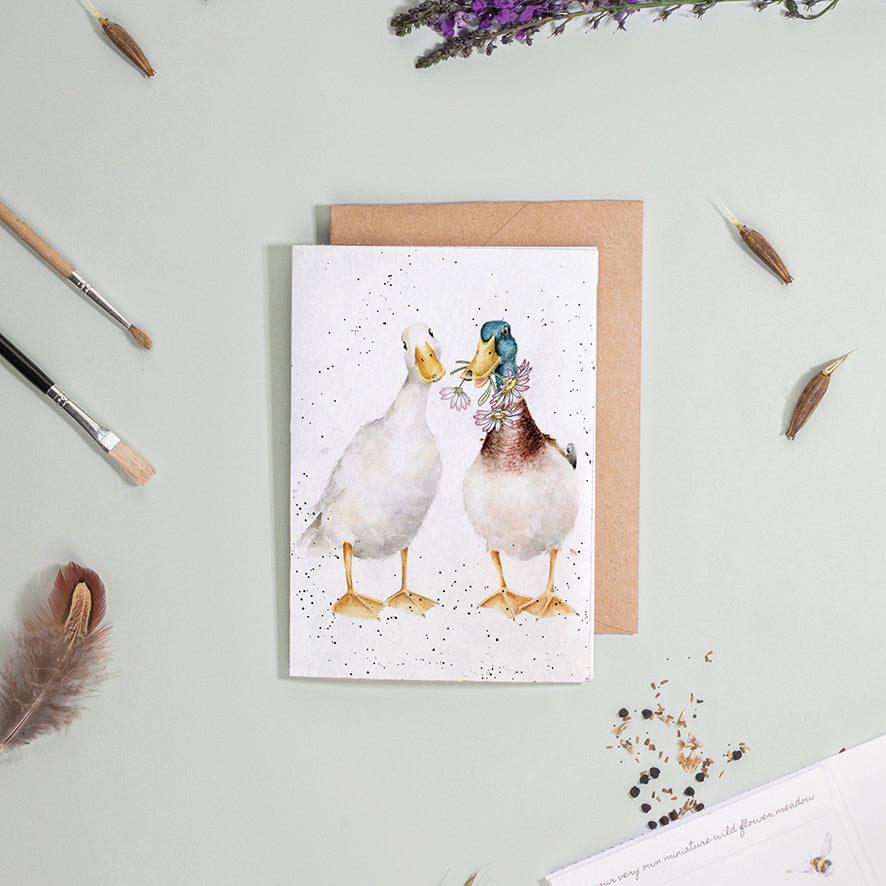 Wrendale Duck Seed Card - Not A Daisy Goes By
