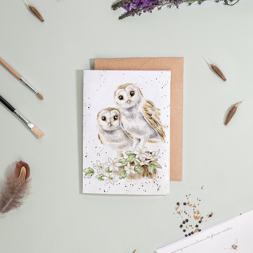 Wrendale Owl Seed Card - Hooting For You