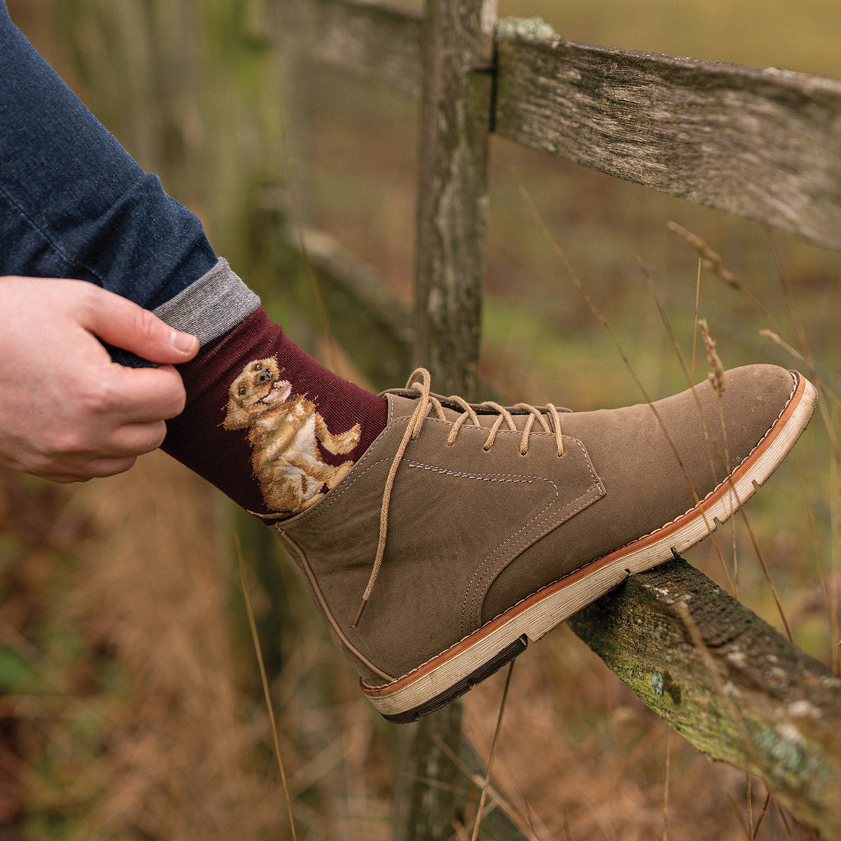 Wrendale Golden Lab Socks - Good as Gold