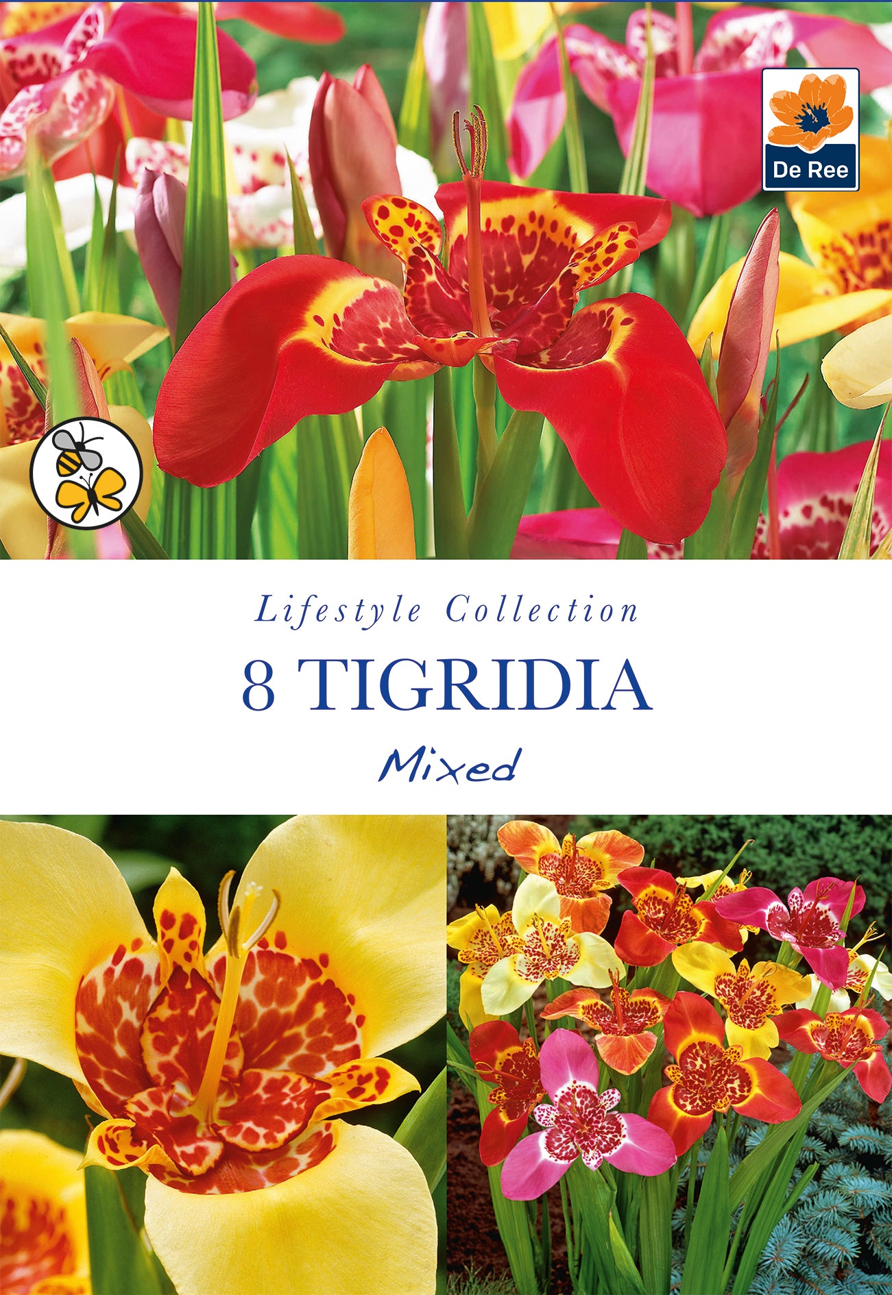 Tigridia Mixed - Threaplands