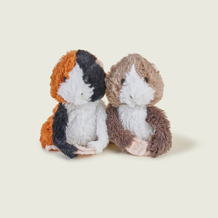 Warmies Warm Hugs Guinea Pig tray Microwavable