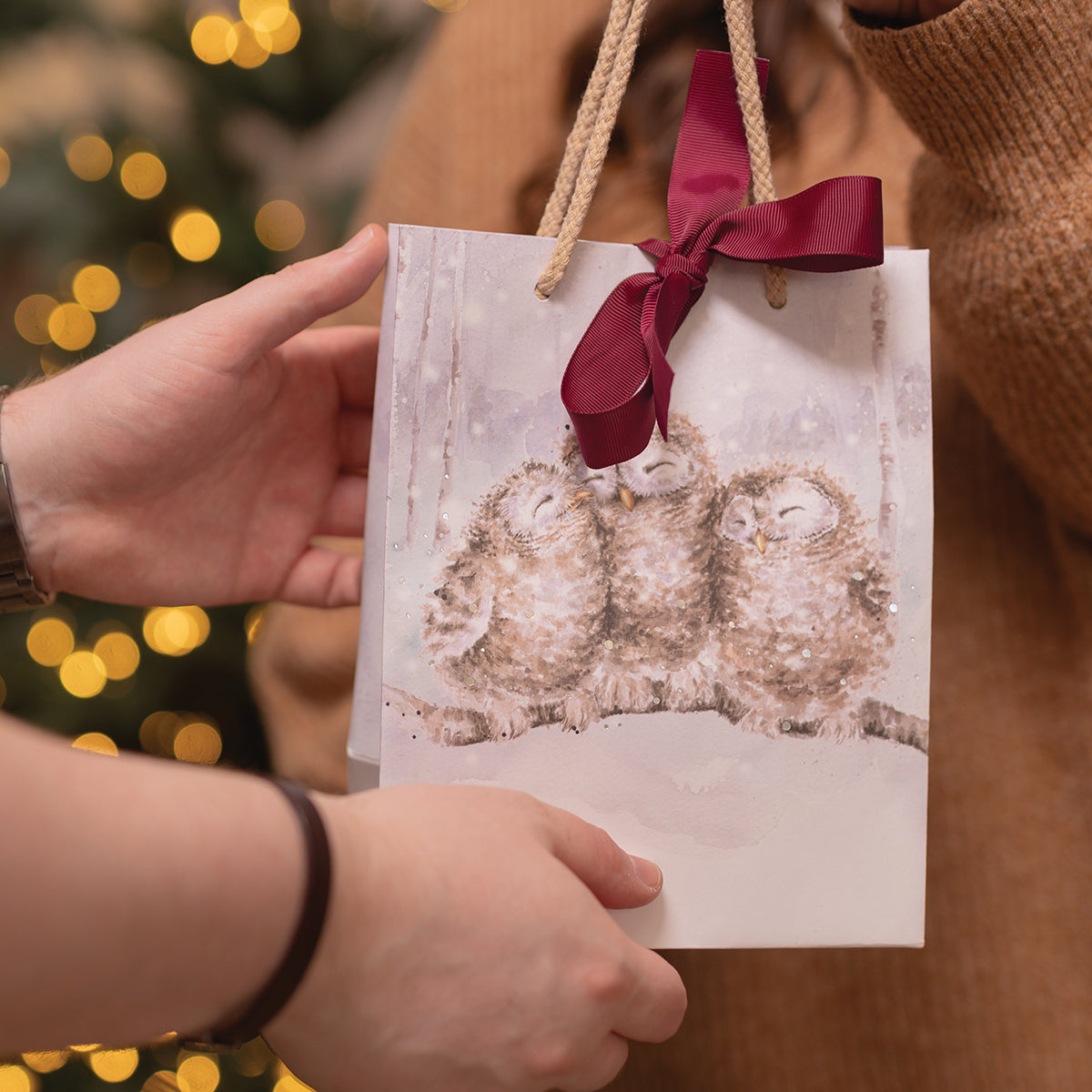 Wrendale Medium Gift Bag - Three Wise Men