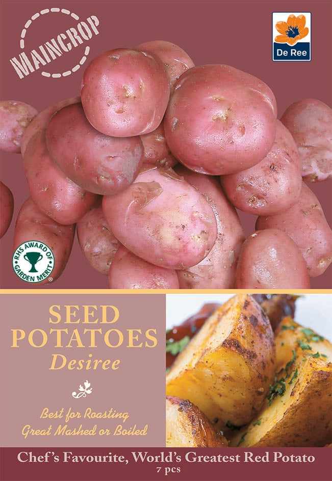 Seed Potatoes