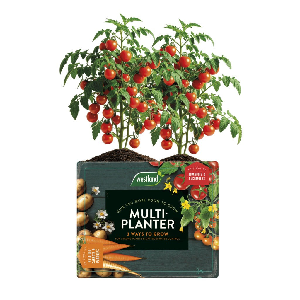 Multi-Planter Medium - Threaplands