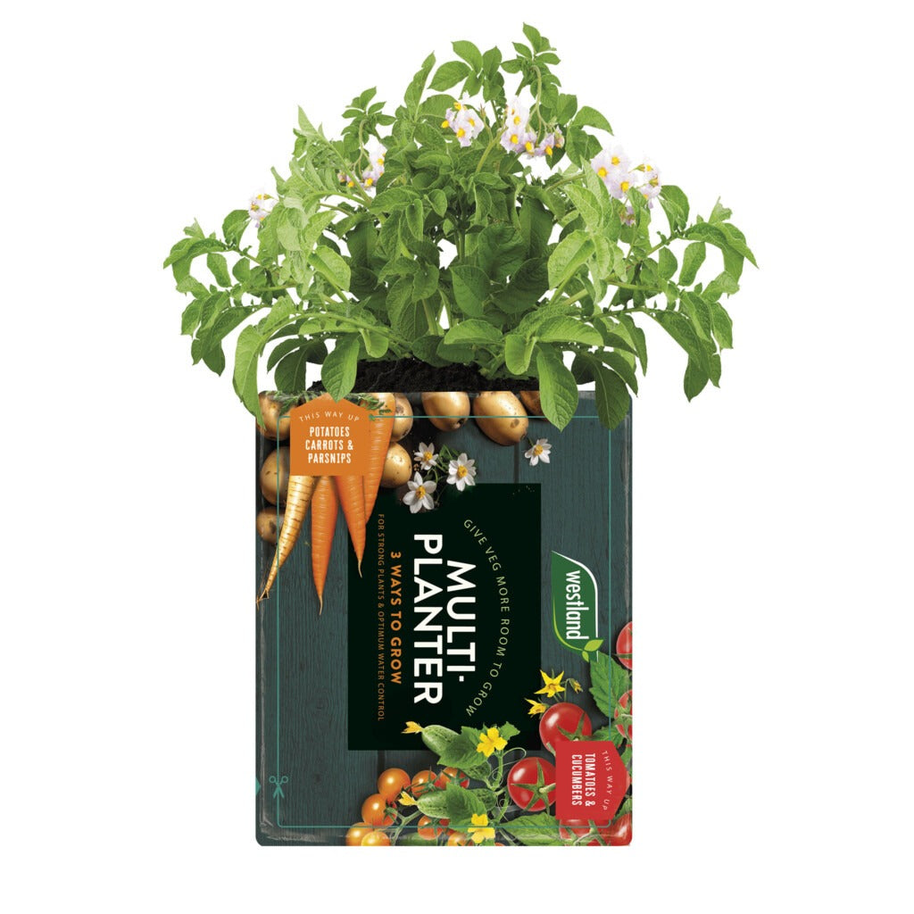 Multi-Planter Medium - Threaplands