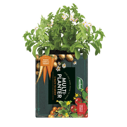 Multi-Planter Medium - Threaplands