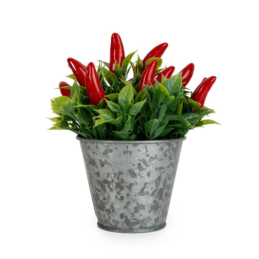 15Cm Chillies In Tin