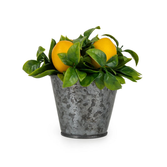 15Cm Lemons Plant In Tin Pot - Threaplands