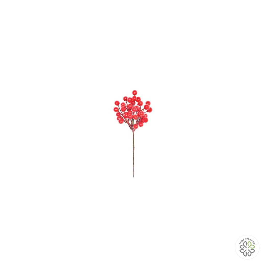 Red Berry Pick 18cm [optimised-1040-watermarked]