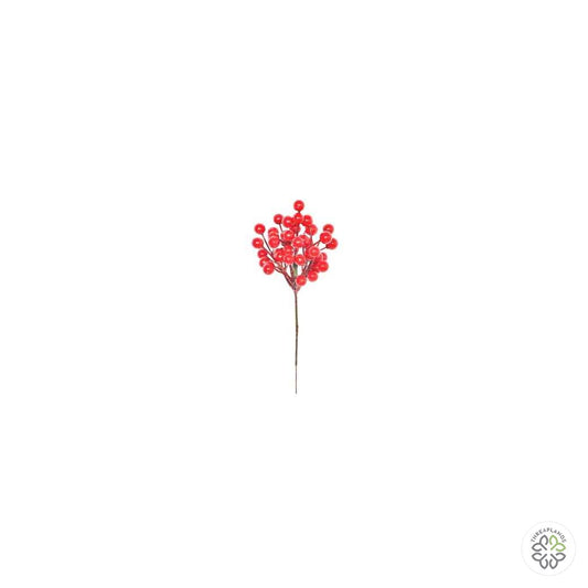 Red Berry Pick 18cm [optimised-1040-watermarked]