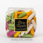 Bon Bon's - Liquorice Comfits