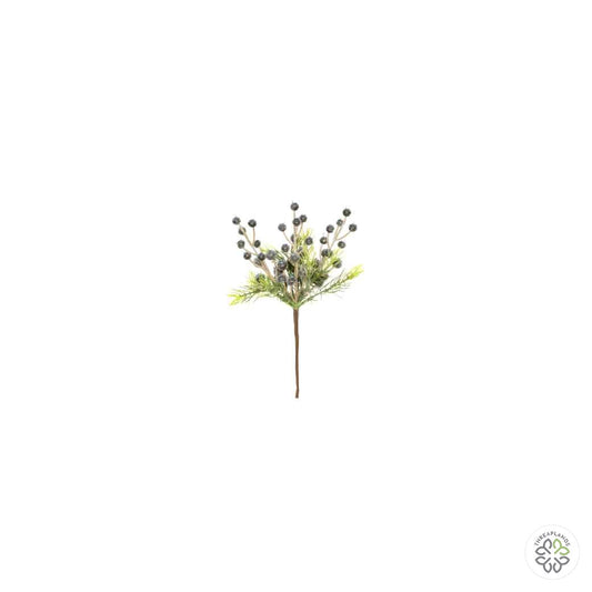 Blue Berry Pick 22cm [optimised-1040-watermarked]