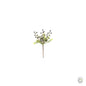 Blue Berry Pick 22cm [optimised-1040-watermarked]