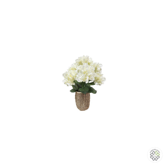 Cream Hydrangea in Basket 48cm [optimised-1040-watermarked]