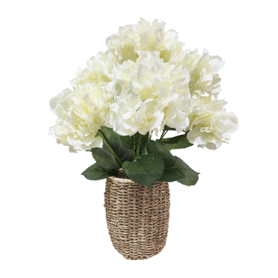 Cream Hydrangea in Basket 48cm