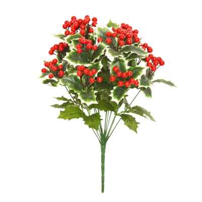 Holly Berry Bush 50cm