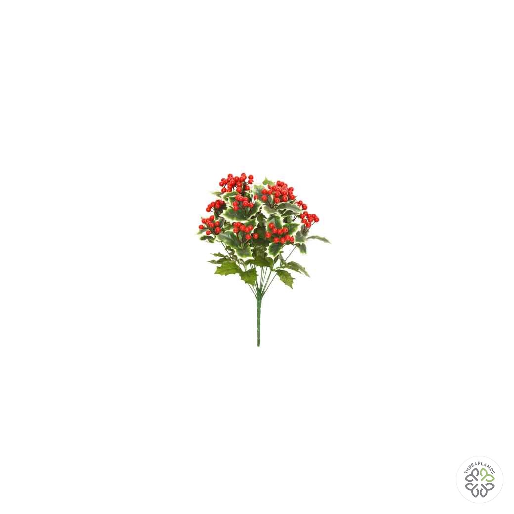Holly Berry Bush 50cm [optimised-1040-watermarked]