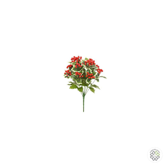 Holly Berry Bush 50cm [optimised-1040-watermarked]