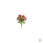 Holly Berry Bush 50cm [optimised-1040-watermarked]