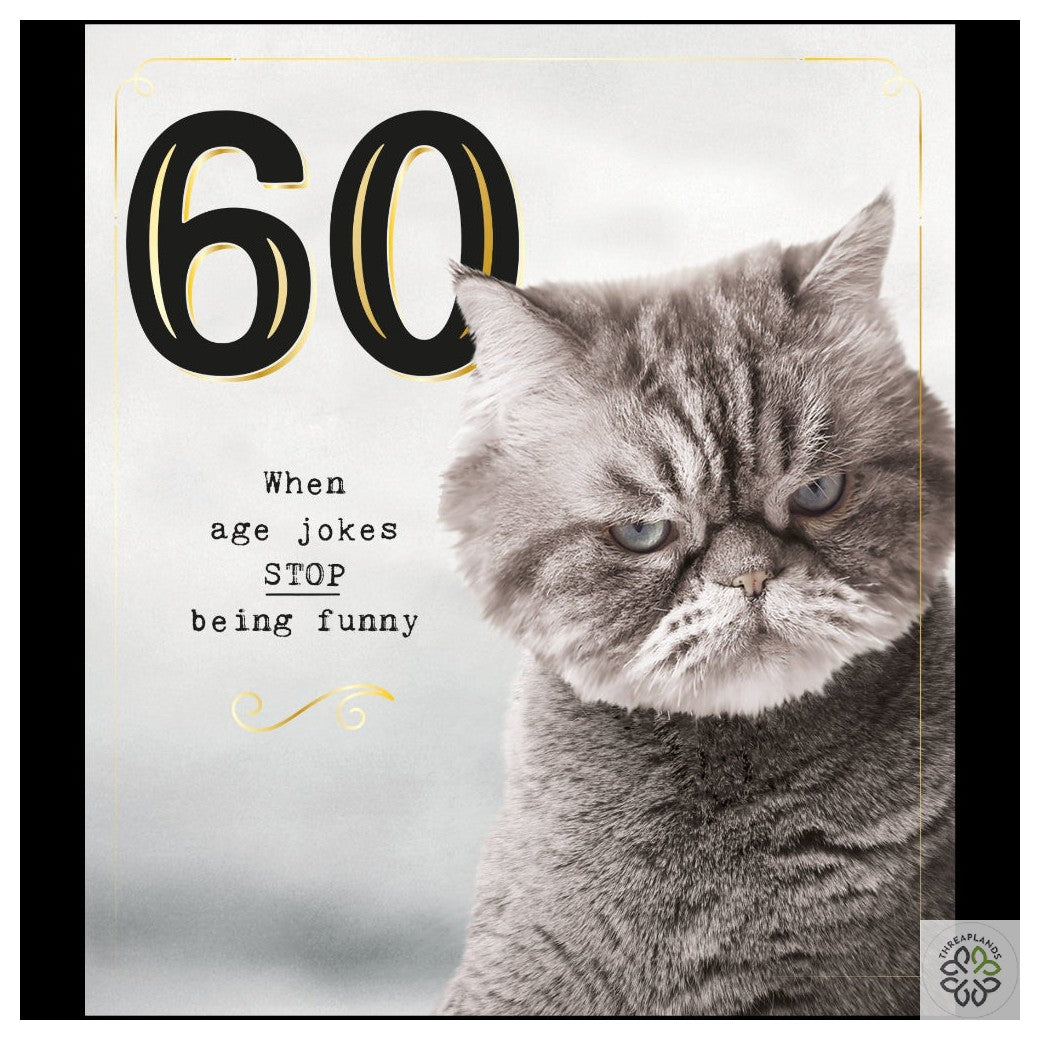 60 Grumpy Cat Age Jokes [optimised-1040-watermarked]