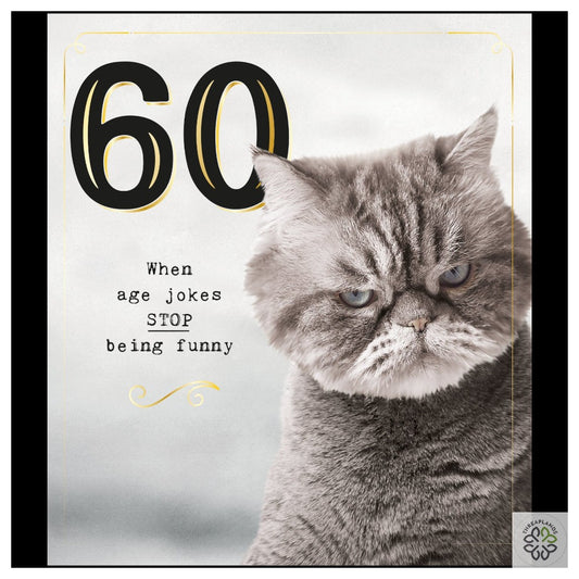 60 Grumpy Cat Age Jokes [optimised-1040-watermarked]