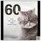 60 Grumpy Cat Age Jokes [optimised-1040-watermarked]