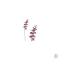 Lilac Phalaenopsis Orchid Stem 90cm [optimised-1040-watermarked]