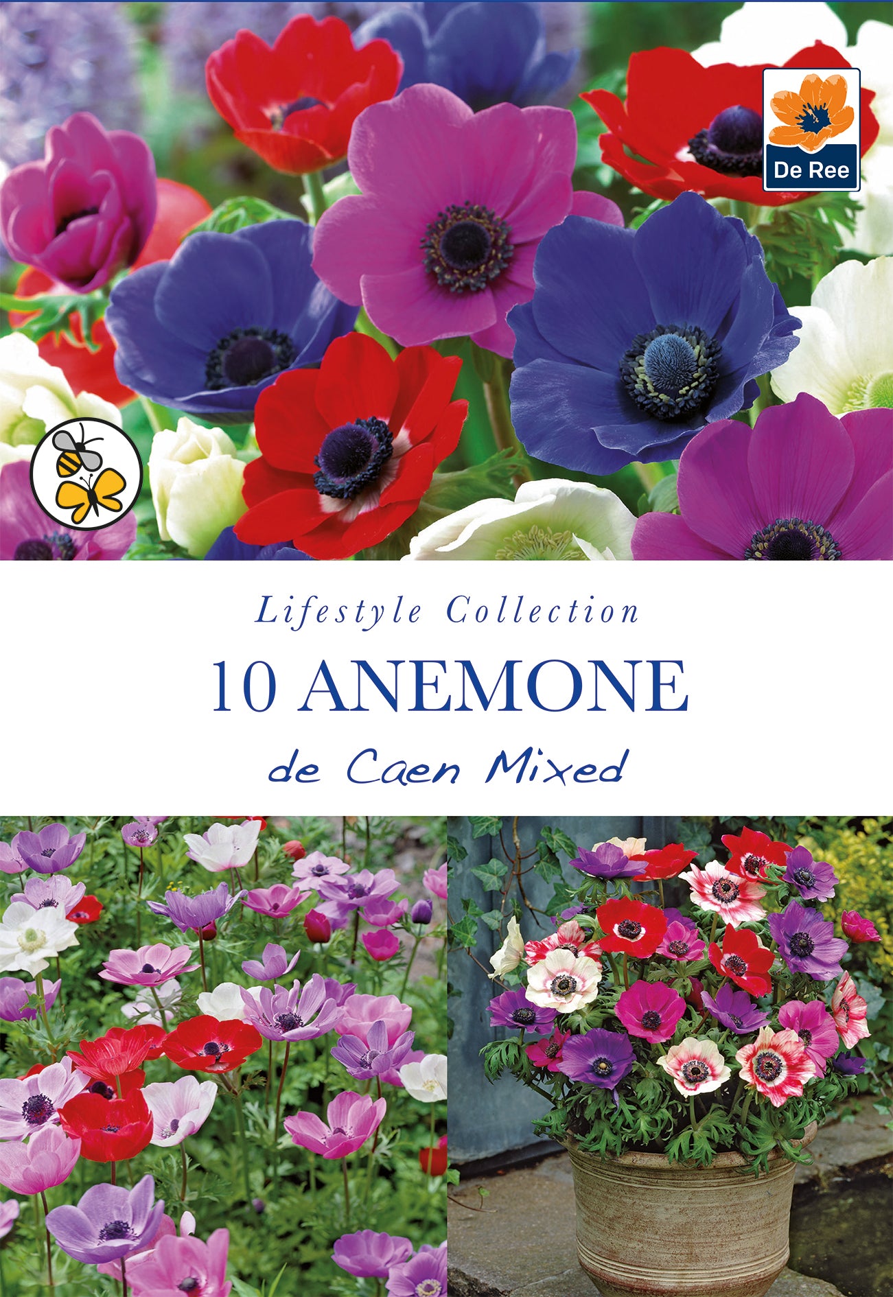 Anemone de Caen Mixed - Threaplands