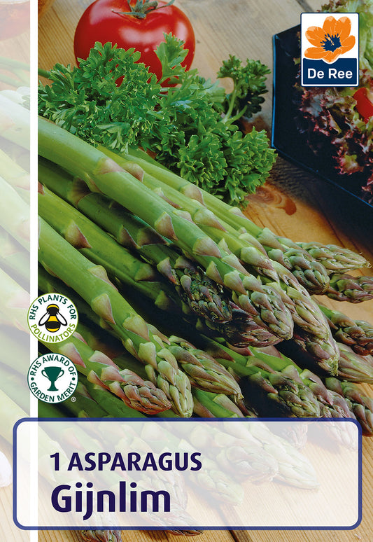 Asparagus Gijnlim - Threaplands