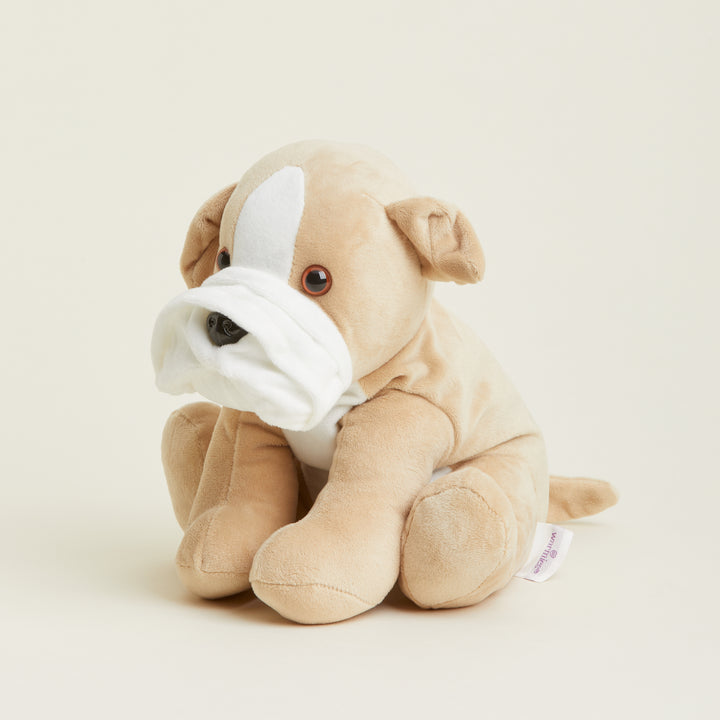 Warmies  Plush Bulldog Microwavable