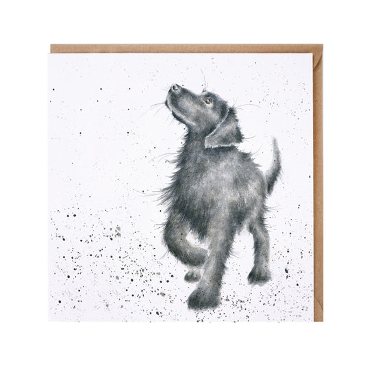 Wrendale Card - Walkies