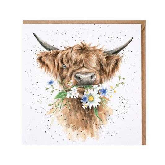 Wrendale Card - Daisy Coo