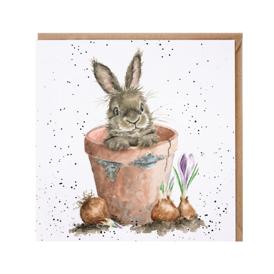 Wrendale Card - The Flower Pot