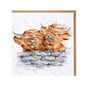 Wrendale Card - Blown Away Highland Cows