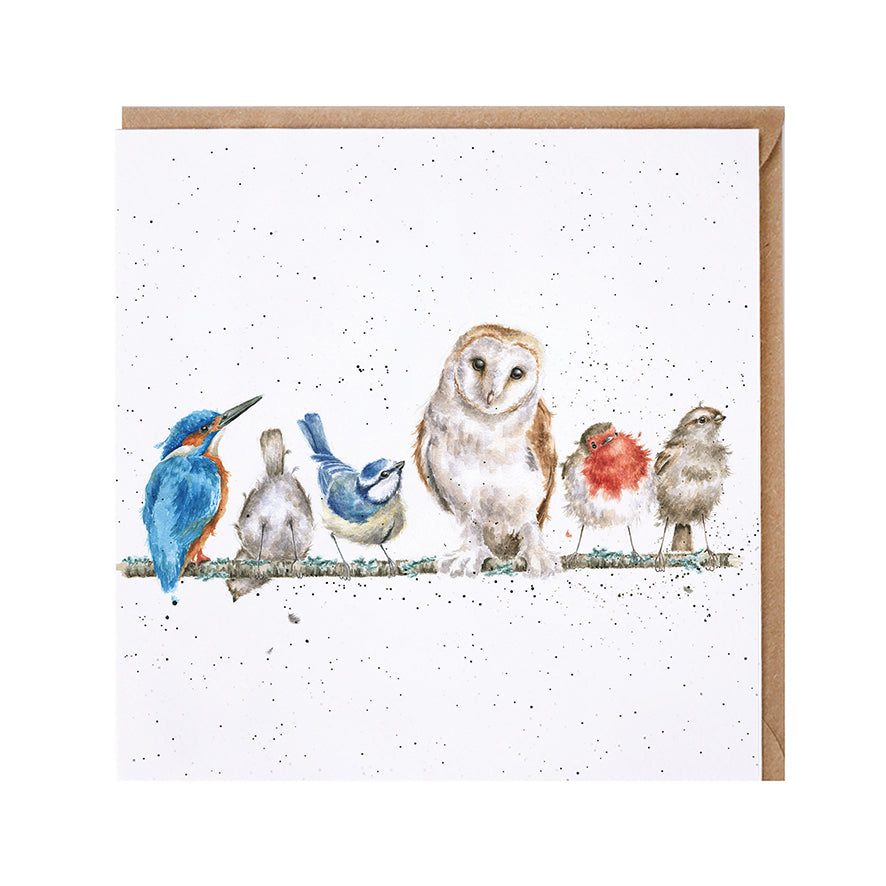 Wrendale The Variety of Life Birds