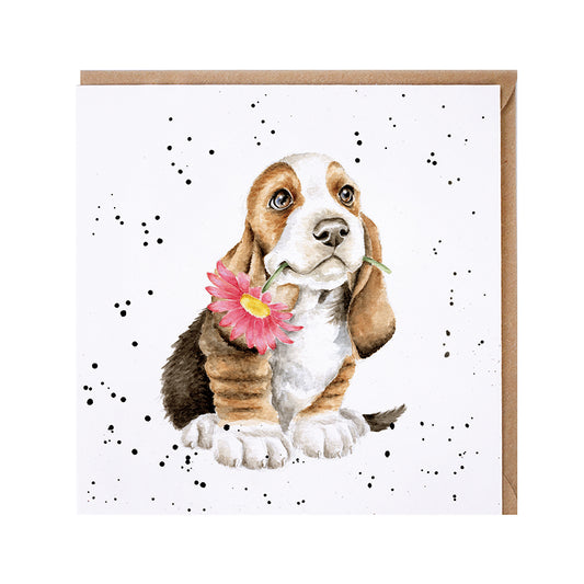 Wrendale Card - 'Just for You' Basset Hound Card