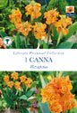 Canna Picasso - Threaplands