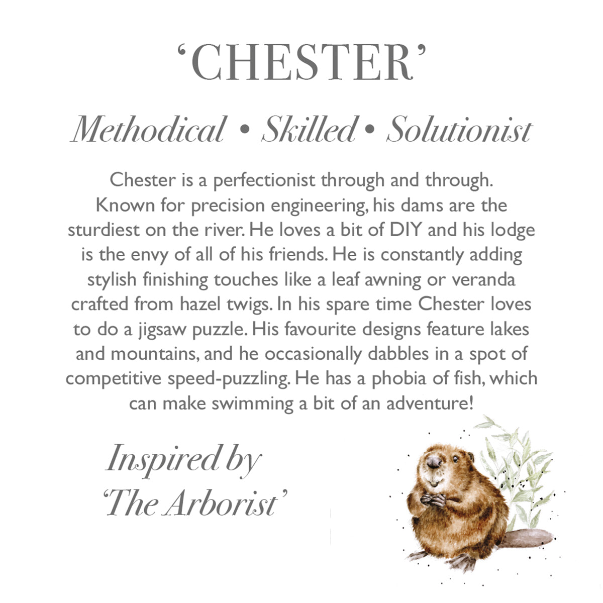 Wrendale Medium Beaver Plush- Chester