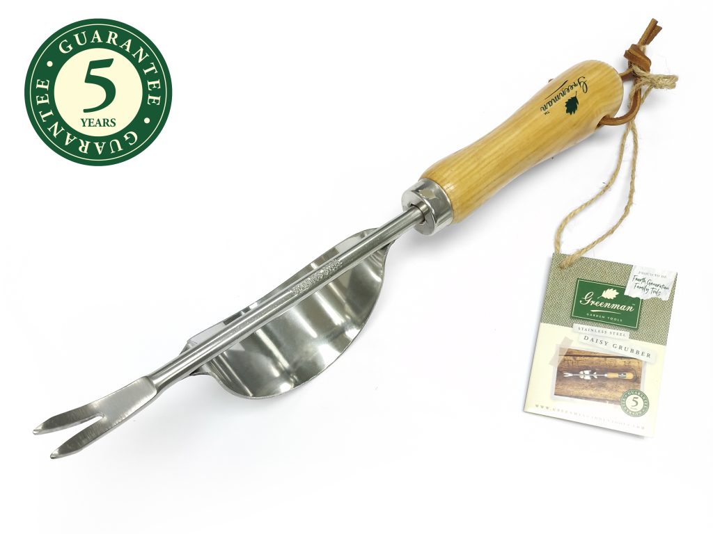 Greenman Ash Handled Stainless Steel Daisy Grubber