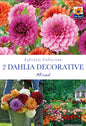 Dahlia Decorative Mixed - Threaplands