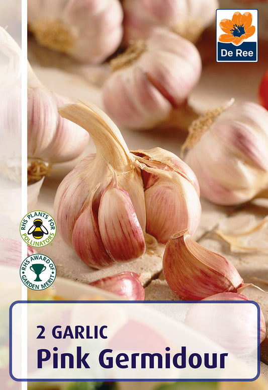 Garlic Pink Germidour - Threaplands