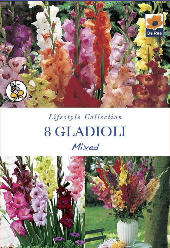 Gladioli Mixed - Threaplands